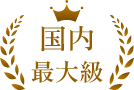 国内最大級